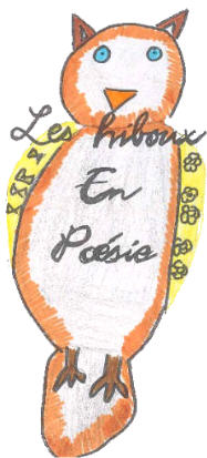 couverture4.jpg (19589 bytes)